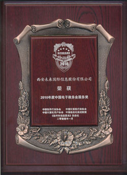 中国电子政务金服务奖